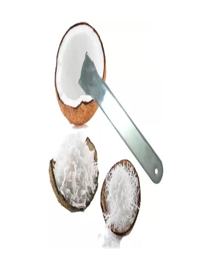 Ervio Stainless Steel Coconut Opener Tool Pack of 2 | Heavy Duty Coconut Scraper & Peeler | Manual Coconut Shell Remover for Home & Commercial Kitchen Use - Image 3